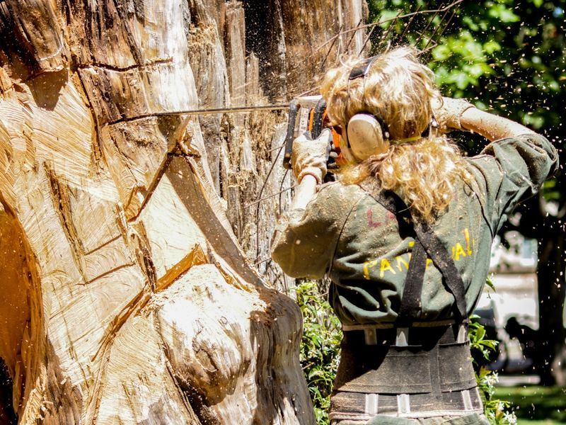 Tree removal job near Chapel Hill, NC