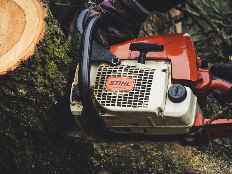 Tree removal job in the Mordecai neighborhood of Raleigh