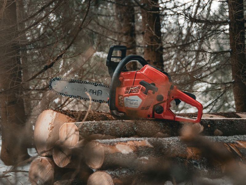 Tree removal job near Rolesville, NC