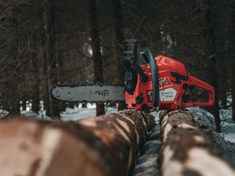 Tree removal job near Zebulon, NC